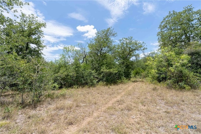 TBD Fm 671, Luling, TX 78648 - photo 5