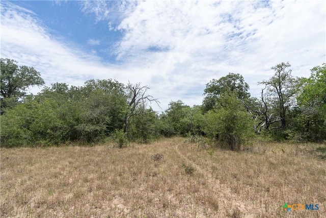 TBD Fm 671, Luling, TX 78648 - photo 31