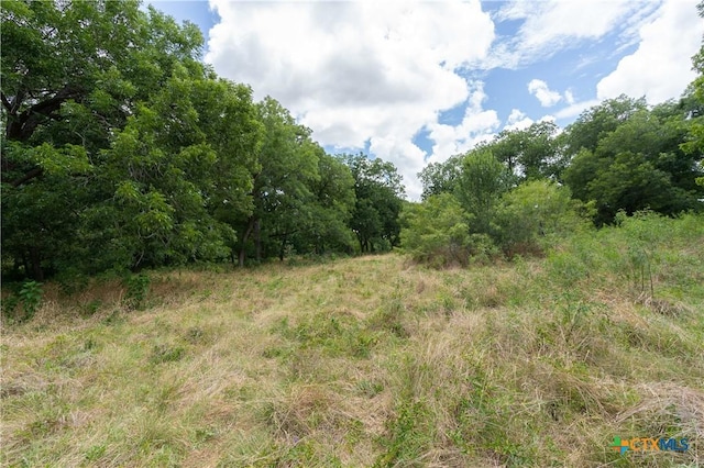 TBD Fm 671, Luling, TX 78648 - photo 16