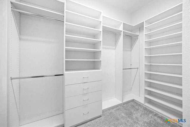 292 Scenic Cyn, New Braunfels, TX 78132 - walk in closet with carpet