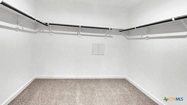 spacious closet featuring carpet flooring