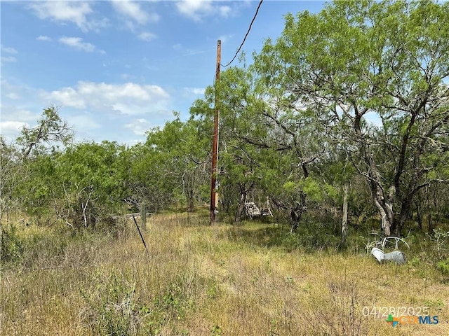 1066 Robertson Rd, Smiley, TX 78159