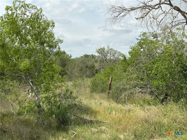 1066 Robertson Rd, Smiley, TX 78159