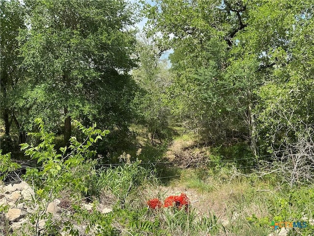 1066 Robertson Rd, Smiley, TX 78159