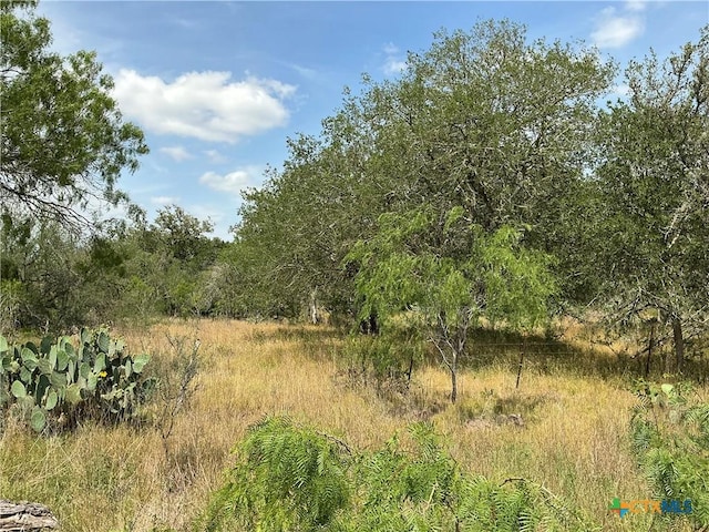 1066 Robertson Rd, Smiley, TX 78159