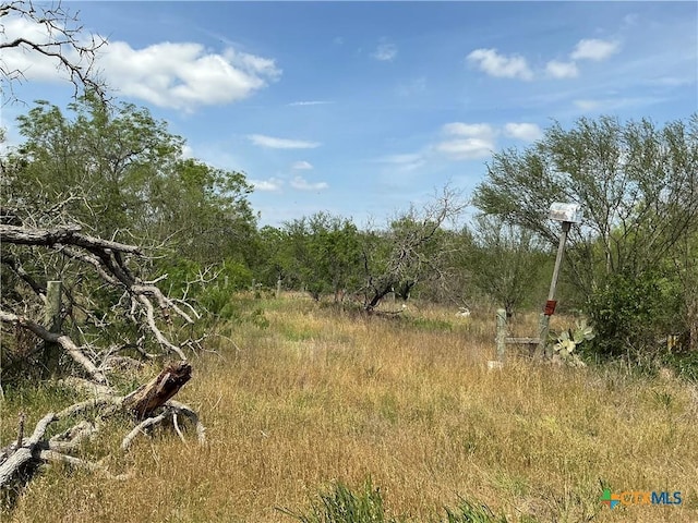 1066 Robertson Rd, Smiley, TX 78159