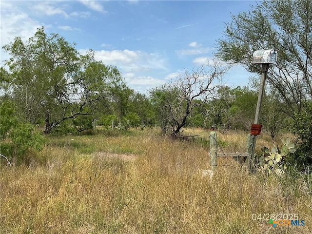 1066 Robertson Rd, Smiley, TX 78159
