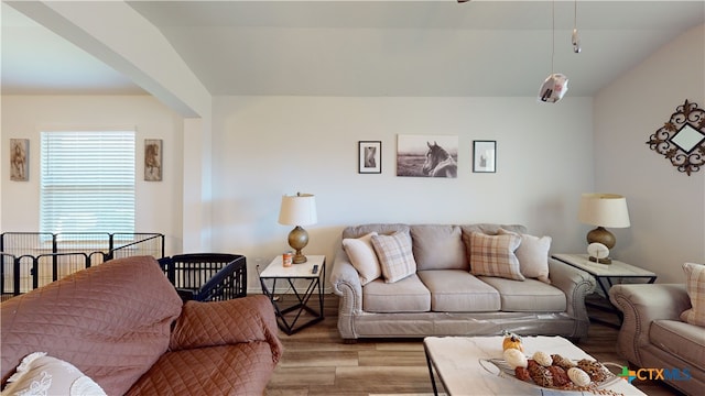 living room featuring light hardwood / wood-style flooring