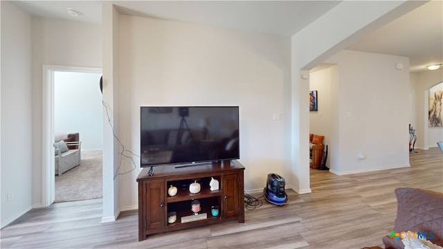 living room featuring light wood-type flooring