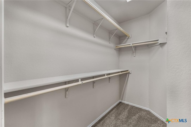 2020 Mallard Ct, Copperas Cove, TX 76522 - spacious closet featuring dark carpet