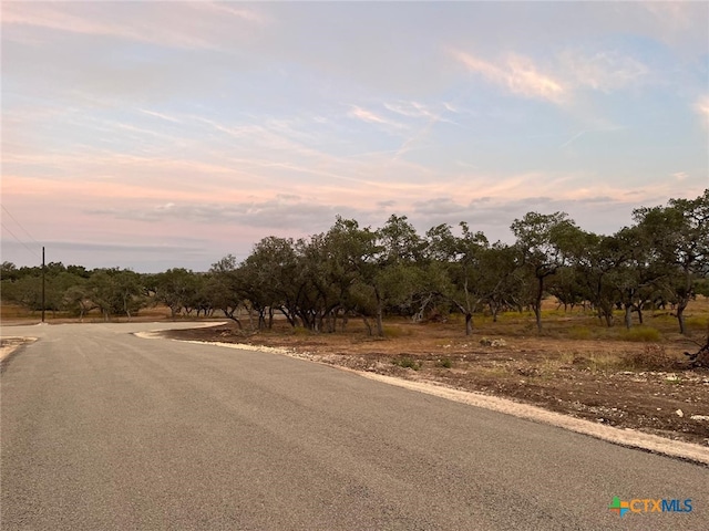 TBDLOT10 County Road 340, Burnet, TX 78611 - photo 5