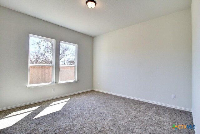 1236 Tuscan Vw, New Braunfels, TX 78130 - walk in closet featuring carpet flooring