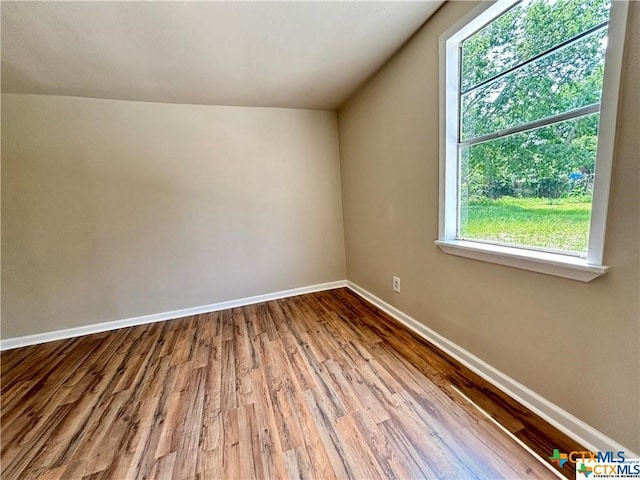 additional living space featuring wood-type flooring