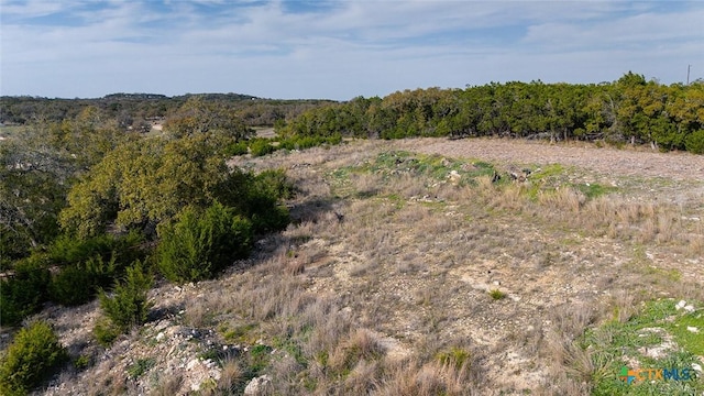 426 Mountain Top Dr, Spring Branch, TX 78070 - photo 5