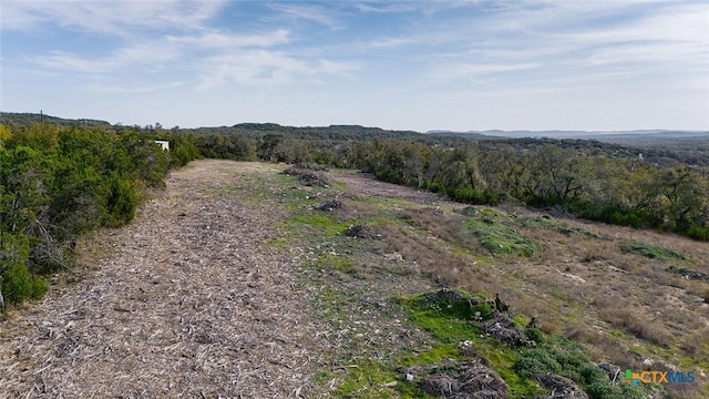 426 Mountain Top Dr, Spring Branch, TX 78070 - photo 8