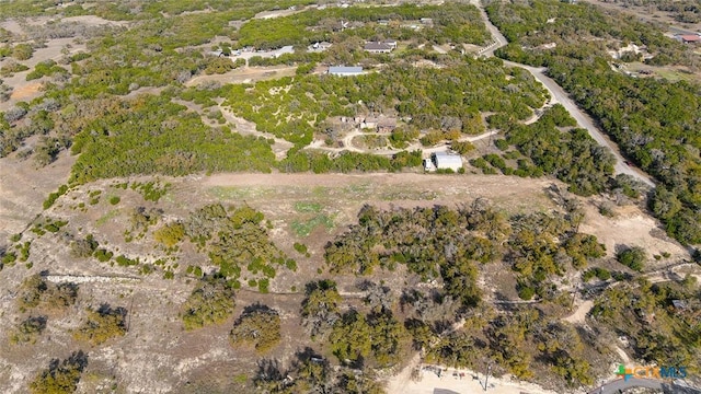 426 Mountain Top Dr, Spring Branch, TX 78070 - photo 3