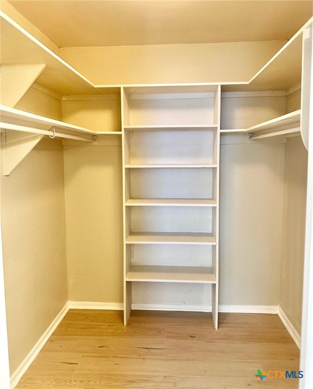 spacious closet with wood-type flooring