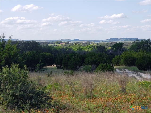 LOT3 County Road 1255, Lampasas TX, 76550 land for sale