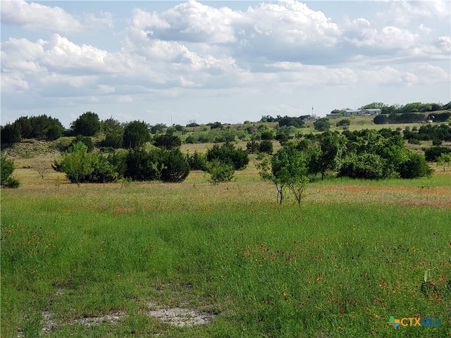 Listing photo 3 for LOT3 County Road 1255, Lampasas TX 76550