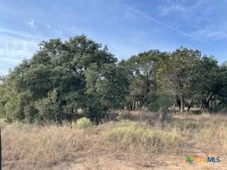 1915 County Road 111, Lampasas TX, 76550 land for sale