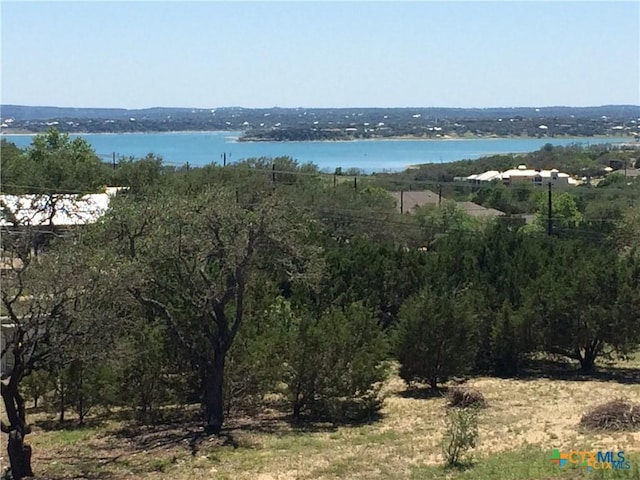 207 Bobby Clark Dr, Canyon Lake, TX 78133 - photo 2