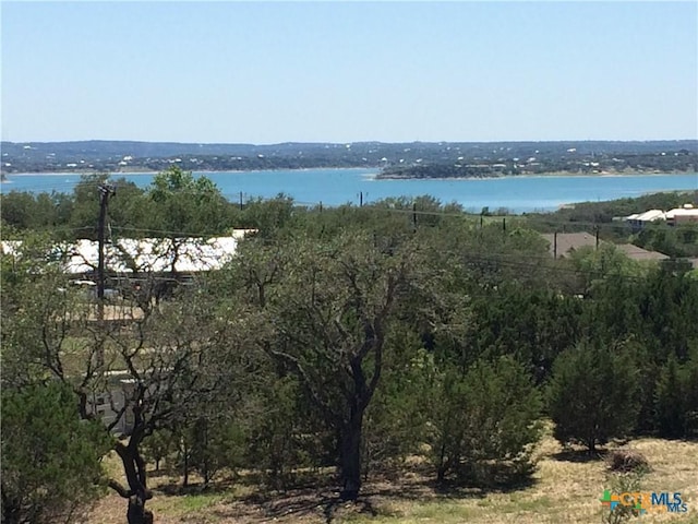207 Bobby Clark Dr, Canyon Lake, TX 78133 - photo 3