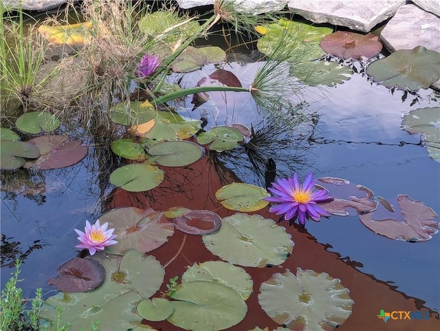 details featuring a small pond