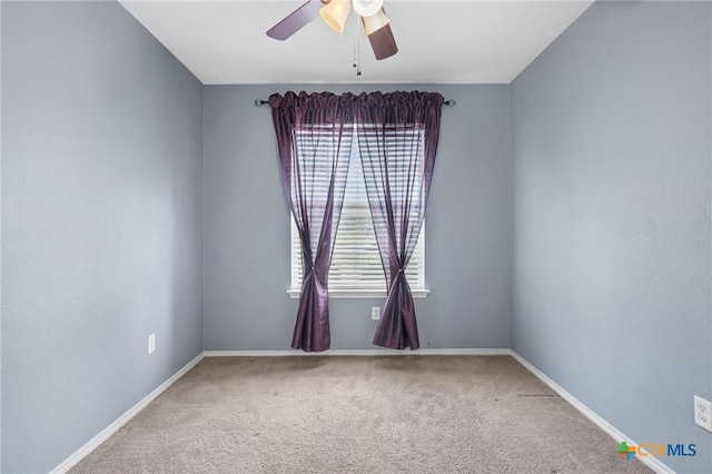 2713 Little Nolan Rd, Killeen, TX 76542 - photo 13
