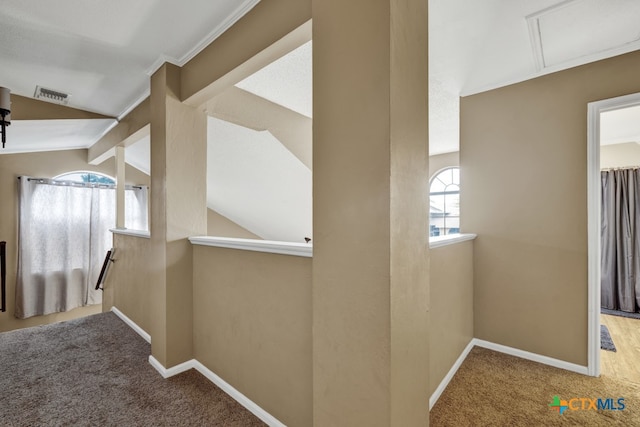 hallway featuring lofted ceiling and carpet flooring