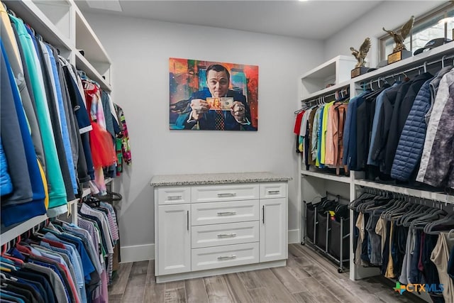 spacious closet with light wood-style flooring