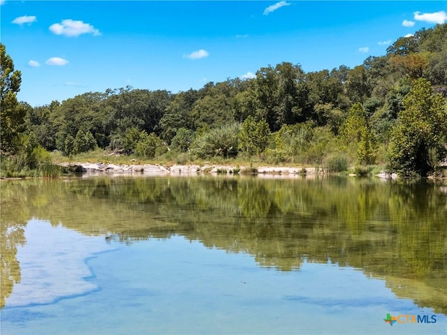 13100 Ranch Road 12, Wimberley TX, 78676 land for sale