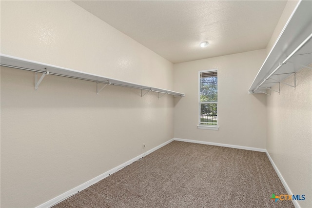 213 Springtree Pkwy, Cibolo, TX 78108 - spacious closet with carpet floors