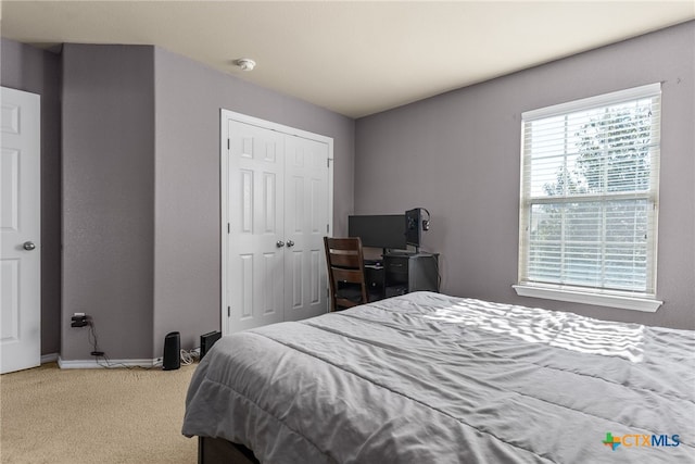 bedroom with carpet and a closet