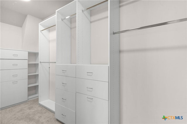 walk in closet with light carpet