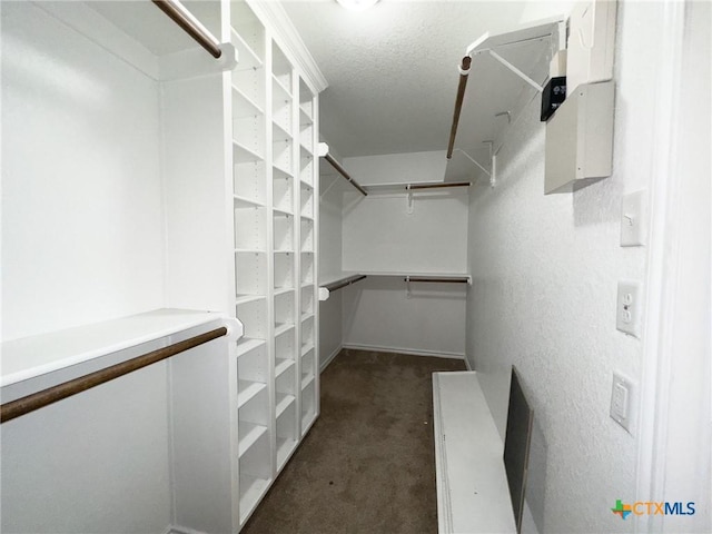 1403 Excel Dr, Killeen, TX 76542 - spacious closet with dark colored carpet