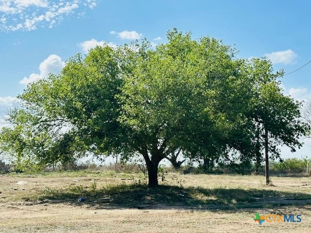 7532 Fm 1303, Floresville TX, 78114 land for sale