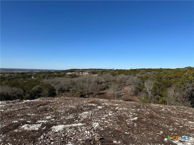 TRACT1 Fm 2955, Gatesville TX, 76528 land for sale