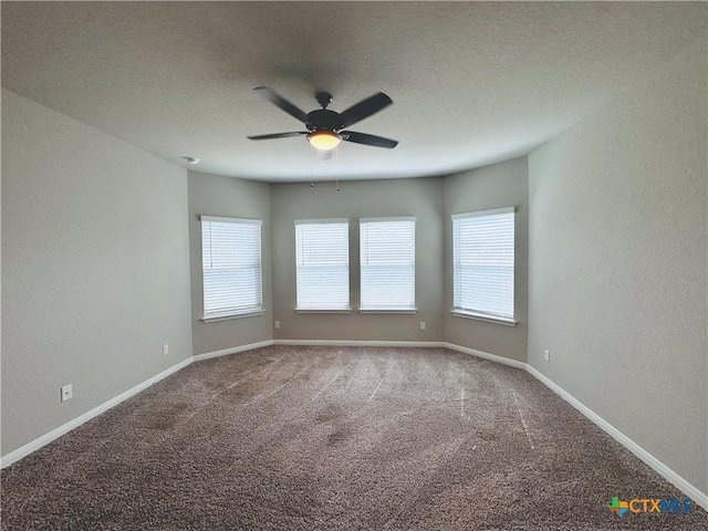 spare room featuring ceiling fan and carpet flooring