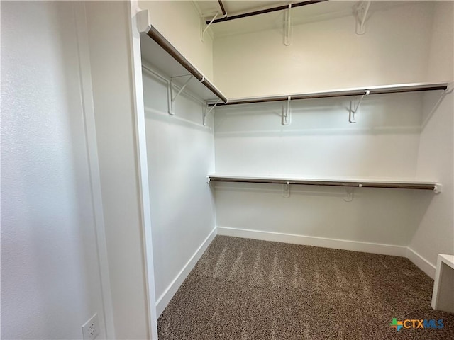 425 Dos Rios Dr, Belton, TX 76513 - spacious closet with carpet
