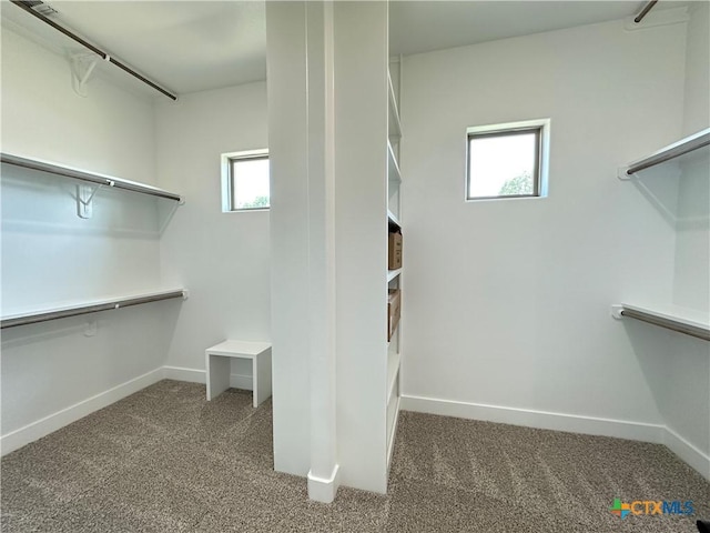 425 Dos Rios Dr, Belton, TX 76513 - spacious closet featuring carpet