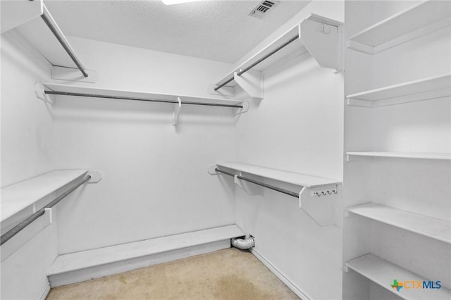 walk in closet with light carpet