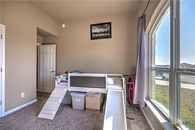 bedroom with carpet floors