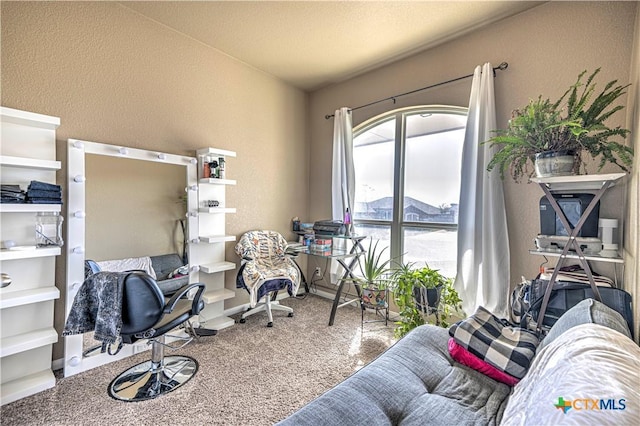 view of carpeted home office