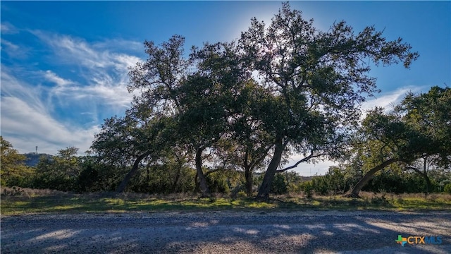 861 Charter Oak Dr Unit 3, Canyon Lake TX, 78133 land for sale