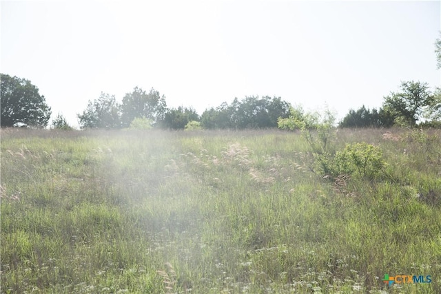 TBD County Road 3900, Adamsville, TX 76550 - photo 11