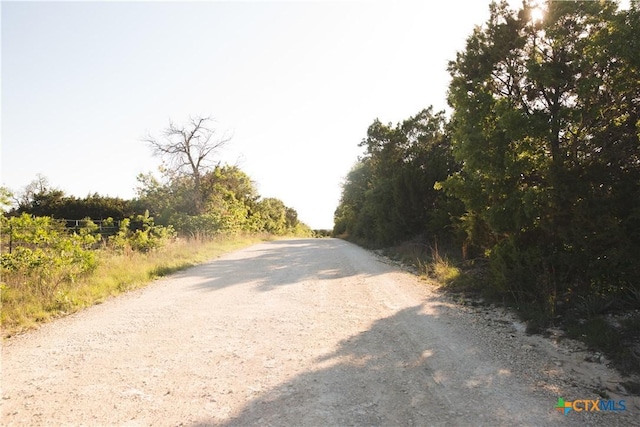 TBD County Road 3900, Adamsville, TX 76550 - photo 16