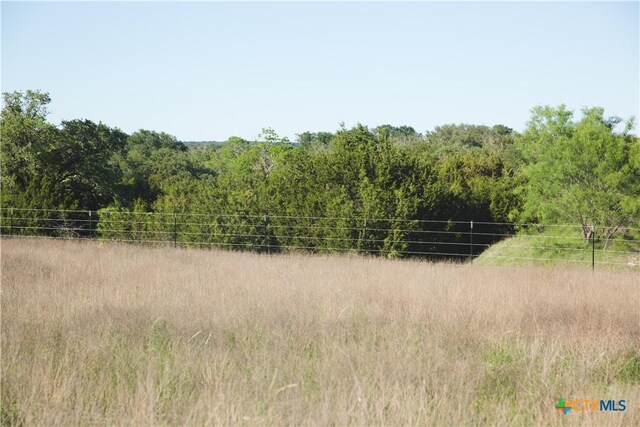 TBD County Road 3900, Adamsville, TX 76550 - photo 8