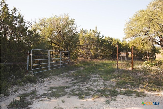 TBD County Road 3900, Adamsville, TX 76550 - photo 2