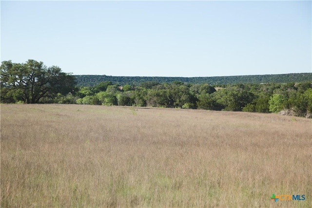 TBD County Road 3900, Adamsville, TX 76550 - photo 4