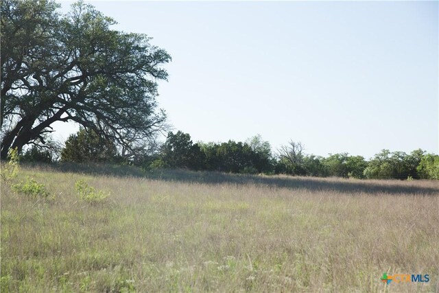 TBD County Road 3900, Adamsville, TX 76550 - photo 14